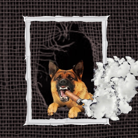 Meet your Posher, Jason - Picture 9 of 9